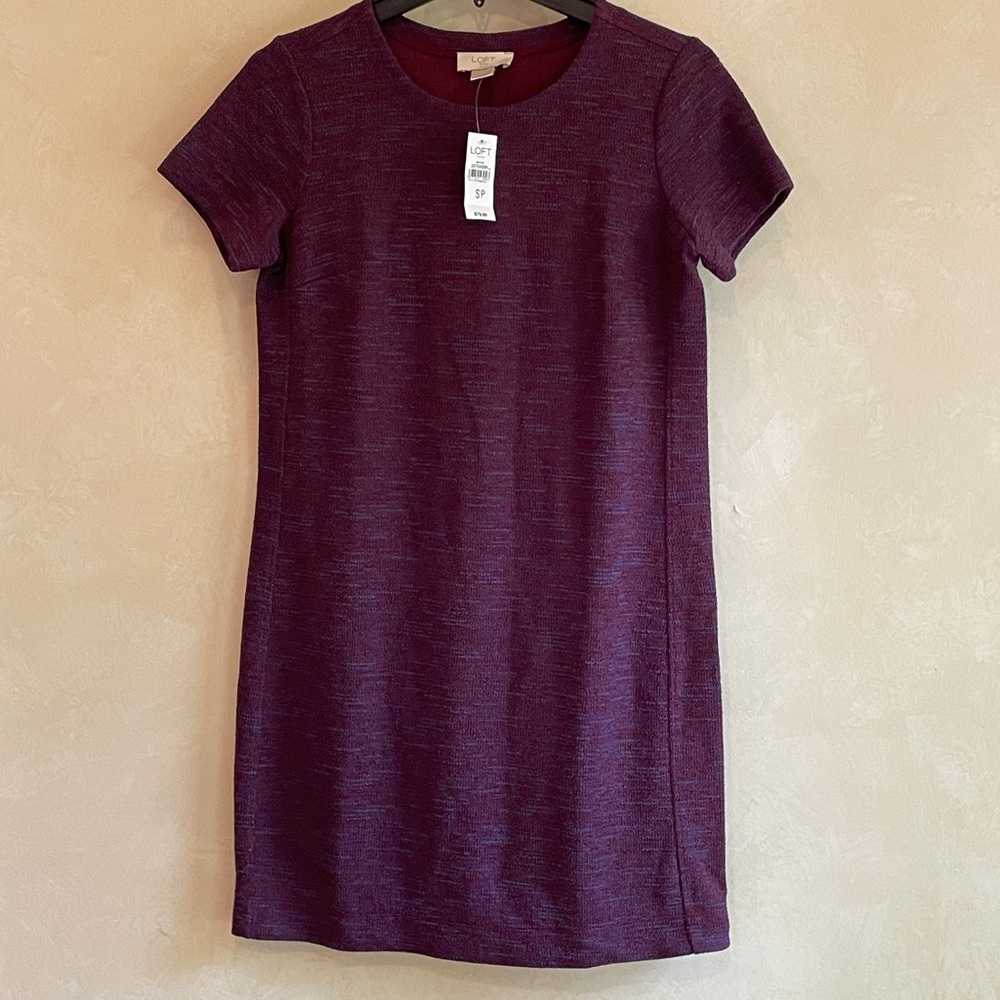 New Tags.Loft outlet Purple Knit short sleeve Pullover   poly/cotton/Rayon